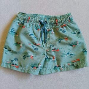 Carter's Sz 3T Green and Orange Swim Trunks with Tropical Design